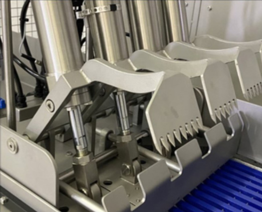 Sierra automática rápida para carne